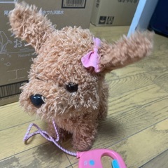 犬のおもちゃの画像
