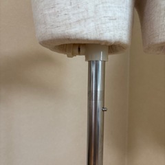 レディース　トルソー　の画像