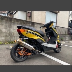 人気ヤマハシグナス1型　ボアップ168ccの画像