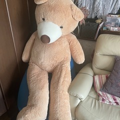 大きなくまさんのぬいぐるみの画像