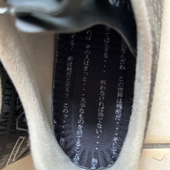 GAViCサッカートレーニングシューズ　26センチの画像