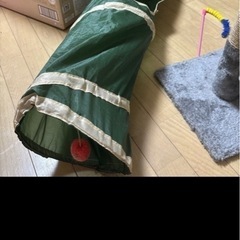 【8月末まで】猫用品　トイレ/おもちゃ/爪研ぎ4点セットの画像