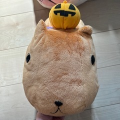 ぬいぐるみ、パスケース、クッションの画像