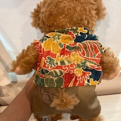 アウラニ限定ダッフィ&シェリーメイの画像