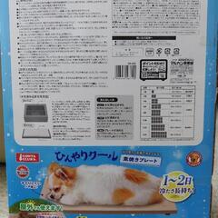 犬　猫　ひんやり素焼きプレートの画像