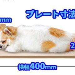 犬　猫　ひんやり素焼きプレートの画像