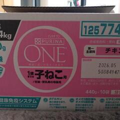 子猫のエサ取りに来れる方無料で！の画像