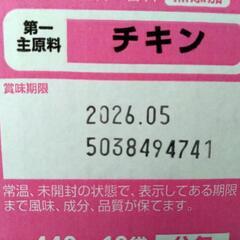 子猫のエサ取りに来れる方無料で！の画像