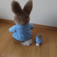 ピーターラビットぬいぐるみの画像