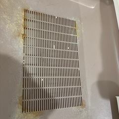 猫 システムトイレ デオトイレの画像