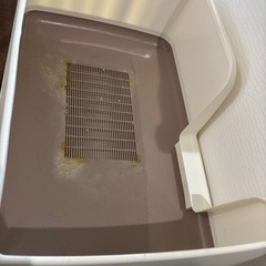猫 システムトイレ デオトイレの画像