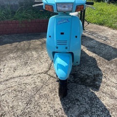 ミント　2ストの画像