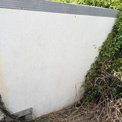 大至急コンテナジャンクの画像