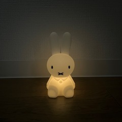 【9月中旬まで】ミッフィLEDライト｜手のひらサイズの小さなランプ「Bundle of light」の画像