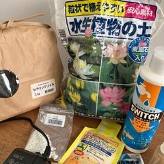 メダカ、ビオトープ初期セットの画像