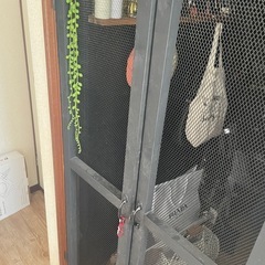 DIYメッシュ扉(木製)の画像