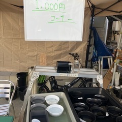 無人販売メダカの画像
