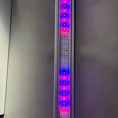 コトブキLEDライト60cm用　　の画像