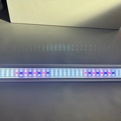 コトブキLEDライト60cm用　　の画像