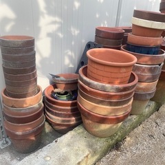植木鉢無料ー！！の画像