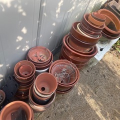 植木鉢無料ー！！の画像