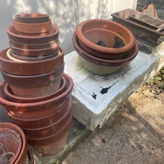 植木鉢無料ー！！の画像