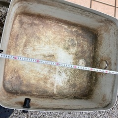 容器 浴槽 メダカ 金魚
の画像