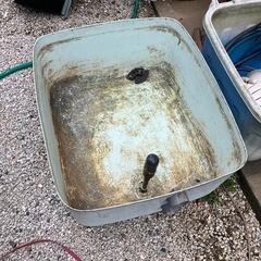 容器 浴槽 メダカ 金魚
の画像