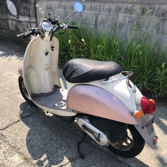 ホンダ　スクーピー　書類付きレストアベース車の画像