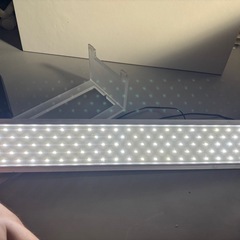 ADA ライト
の画像
