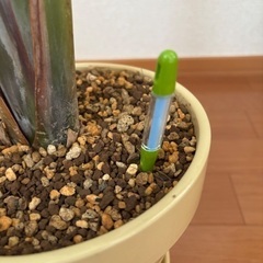 【水位計付き】オーガスタ6号・支柱2本の画像