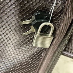 H 2508-449 クロコダイル ソフトキャリーケース カギ付属 キズ 汚れありの画像