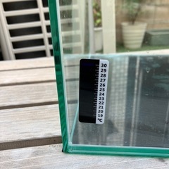 水槽 30cm 中古
の画像