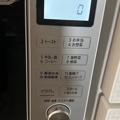 アイリスオオヤマ　電子レンジの画像