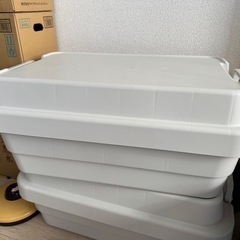 ポリプロピレン　浅型タイプ大　の画像