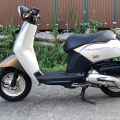 HONDA TODAY AF61の画像