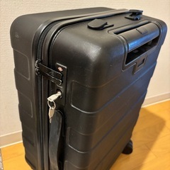 無印　スーツケース　20Lの画像