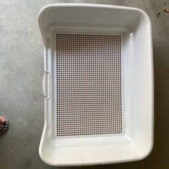 犬のトイレの画像