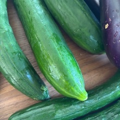 更にお値下げ中❣️お得✨️採れたて野菜3種セット🥒🍆の画像
