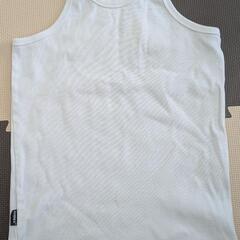 アヴィレックス　ｔシャツセットの画像