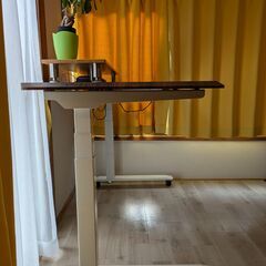 FlexiSpot 電動昇降デスク 75×135cm / FlexiSpot Electric Standing Desk 75×135cmの画像