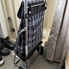 キャリーバッグ　難あり
の画像