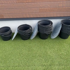 めだか容器の画像