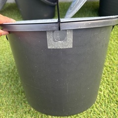 めだか容器の画像