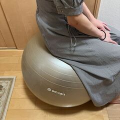 バランスボールの画像