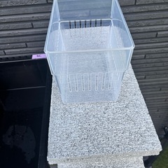 めだか容器
の画像
