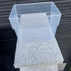 めだか容器
の画像