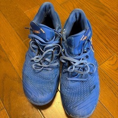 バスケット用　シューズの画像