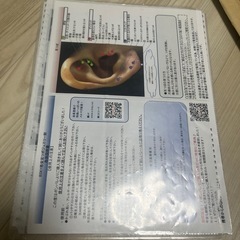 耳ツボセットの画像