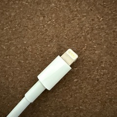 【Apple純正】Lightningカメラアダプタ ホワイトの画像